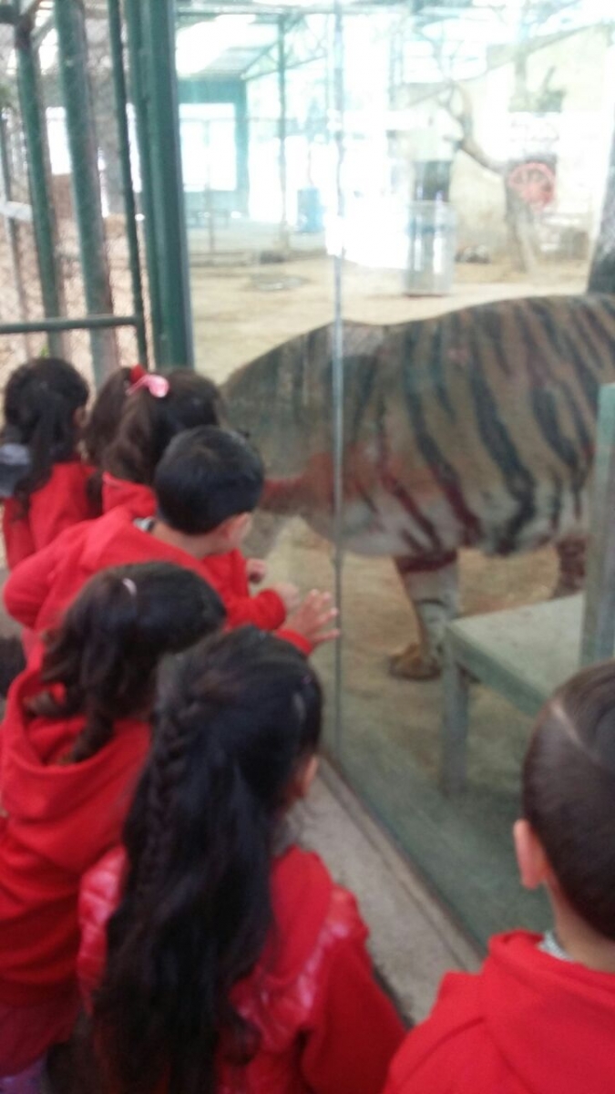 visita-al-zoo-de-lujn_30056859903_o