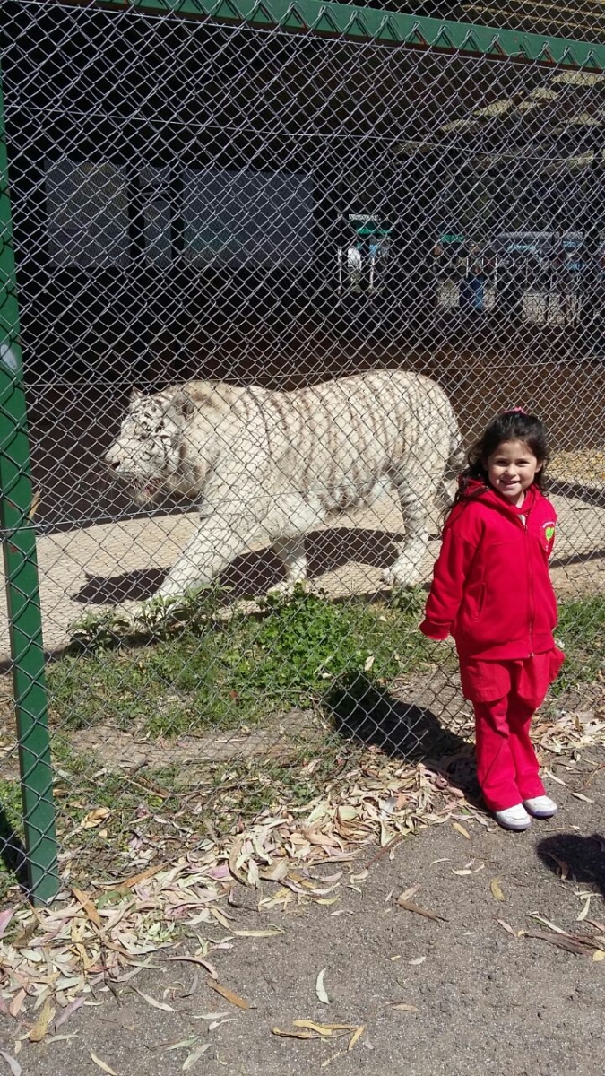 visita-al-zoo-de-lujn_30390865810_o