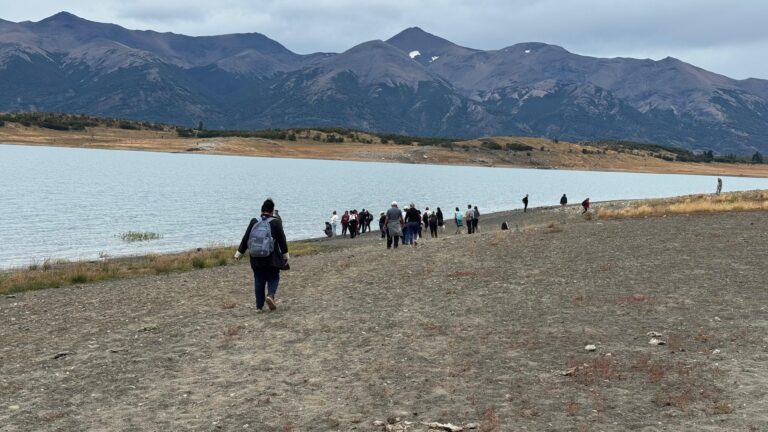 WhatsApp Image 2026-02-17 at 11.06.07