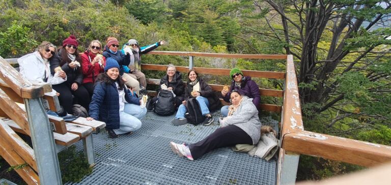 WhatsApp Image 2026-02-17 at 13.20.55