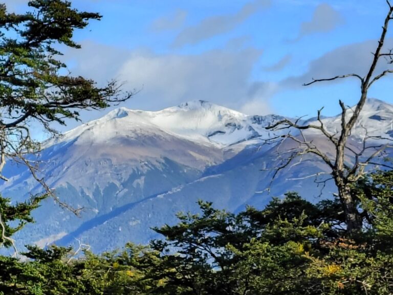 WhatsApp Image 2026-02-18 at 10.44.15