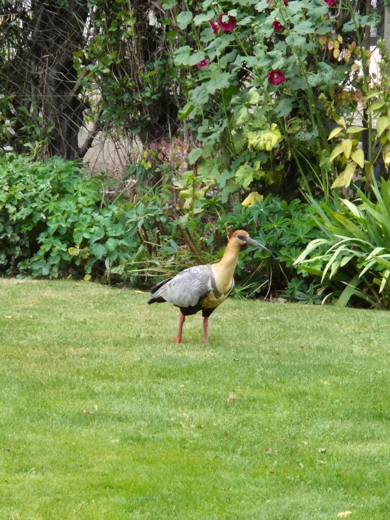 WhatsApp Image 2026-02-19 at 09.07.40 (4)