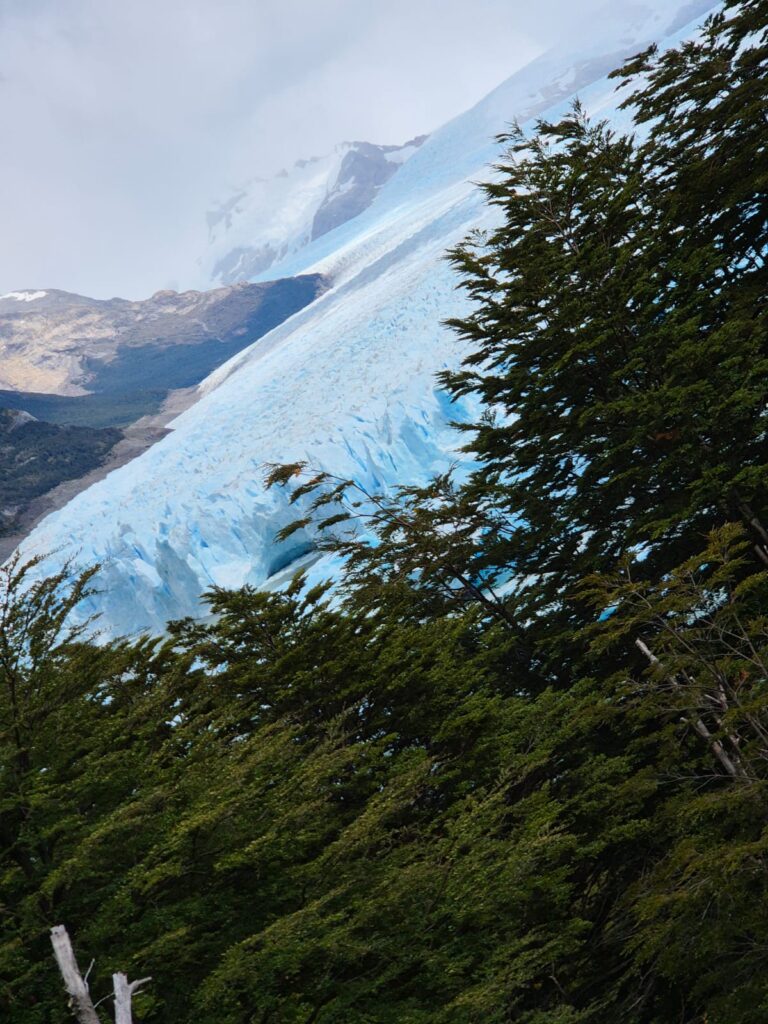 WhatsApp Image 2026-02-19 at 09.07.40 (5)