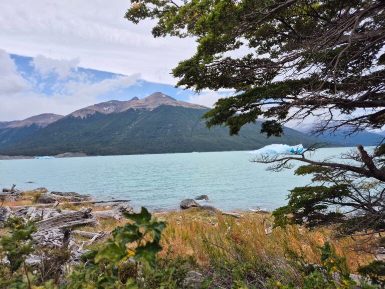 WhatsApp Image 2026-02-19 at 09.07.40 (6)