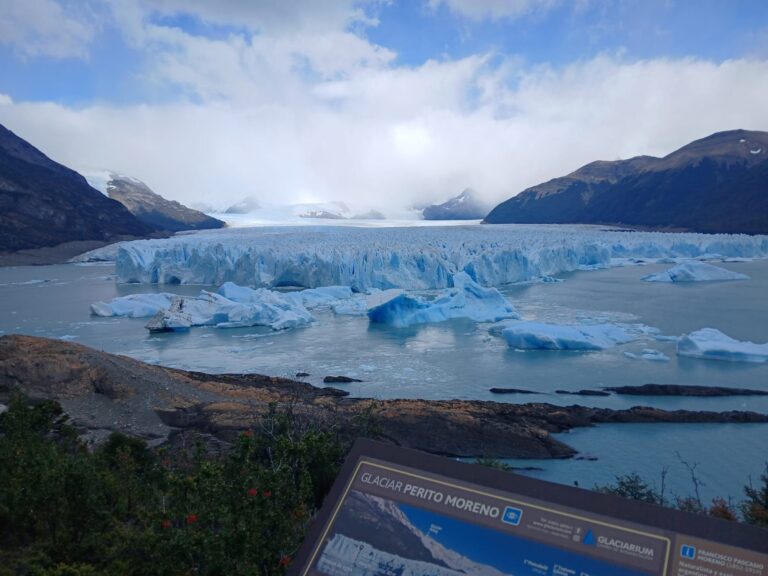 WhatsApp Image 2026-02-24 at 10.52.38 (1)